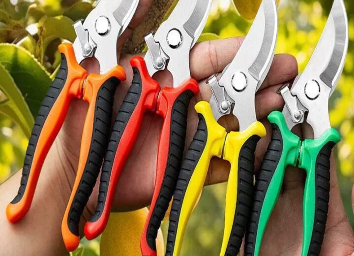 Stainless Steel Garden Pruning Shears for Bonsai and Fruit Picking